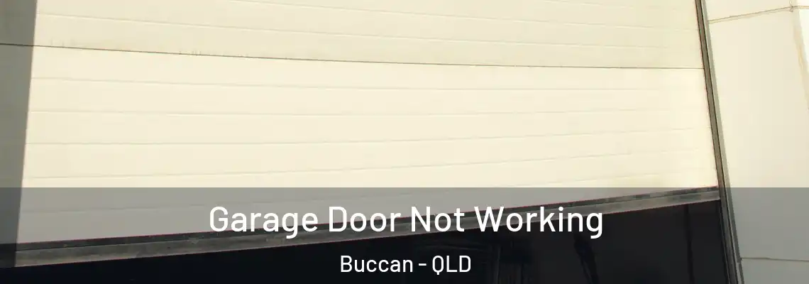Garage Door Not Working Buccan - QLD