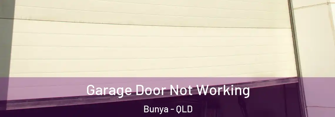 Garage Door Not Working Bunya - QLD
