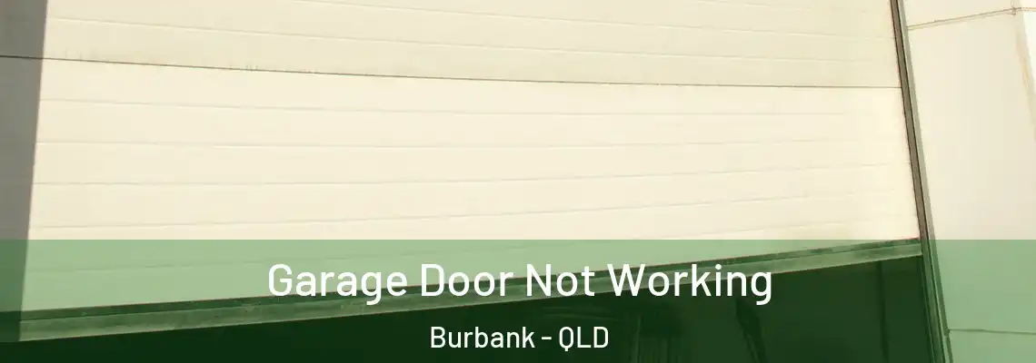 Garage Door Not Working Burbank - QLD