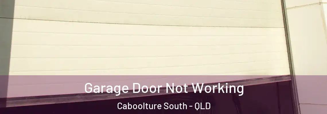 Garage Door Not Working Caboolture South - QLD