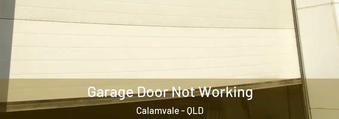 Garage Door Not Working Calamvale - QLD
