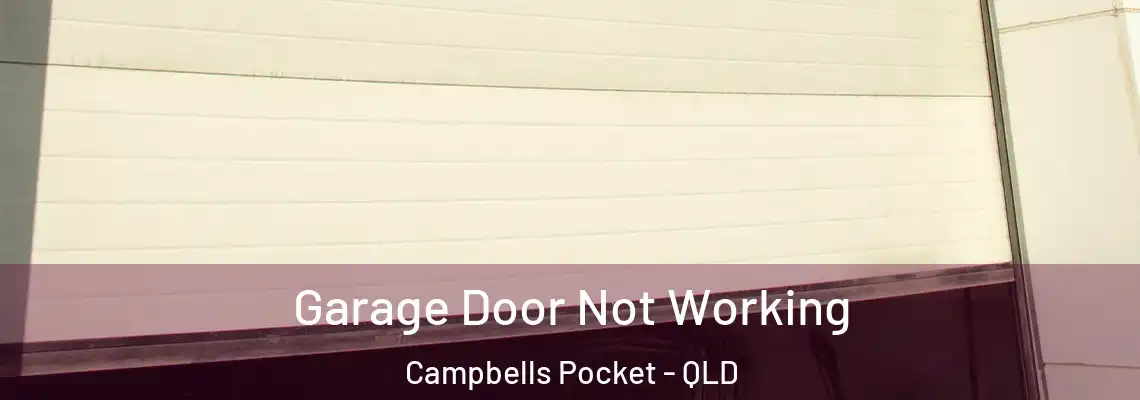 Garage Door Not Working Campbells Pocket - QLD