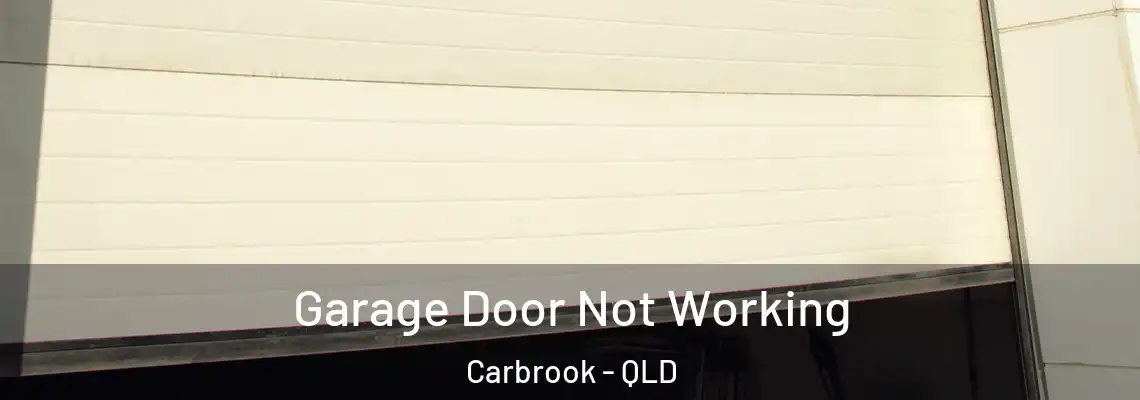 Garage Door Not Working Carbrook - QLD