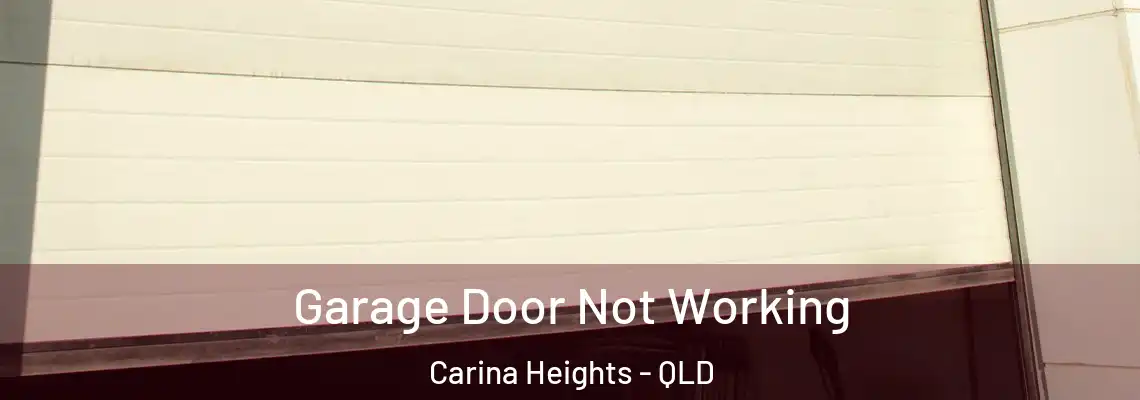 Garage Door Not Working Carina Heights - QLD