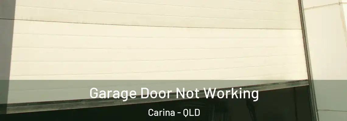  Garage Door Not Working Carina - QLD