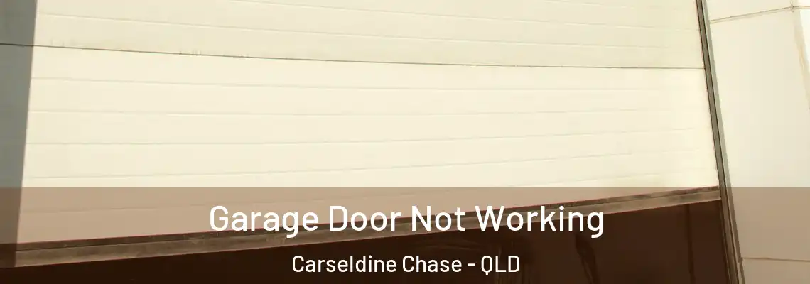 Garage Door Not Working Carseldine Chase - QLD