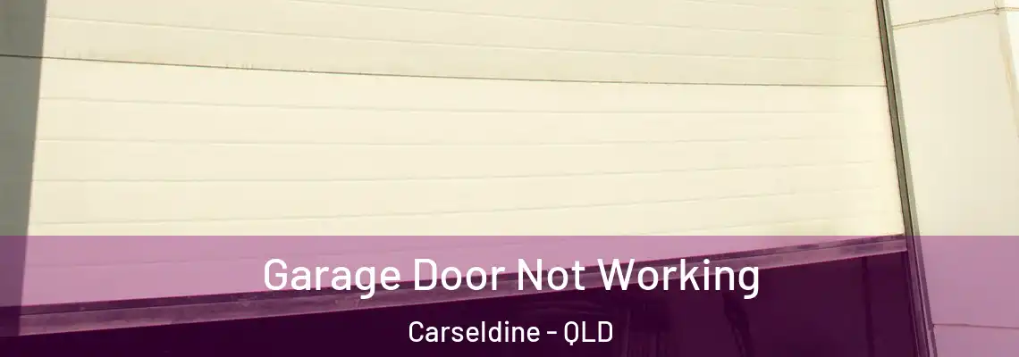 Garage Door Not Working Carseldine - QLD