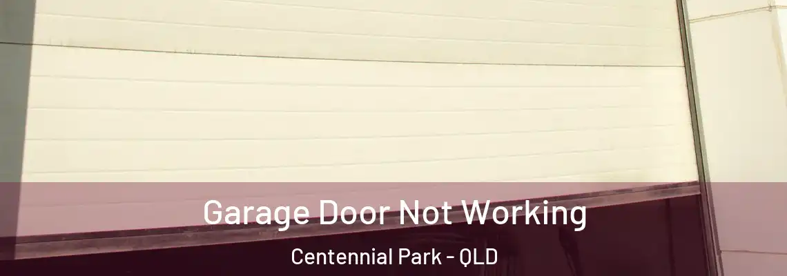 Garage Door Not Working Centennial Park - QLD