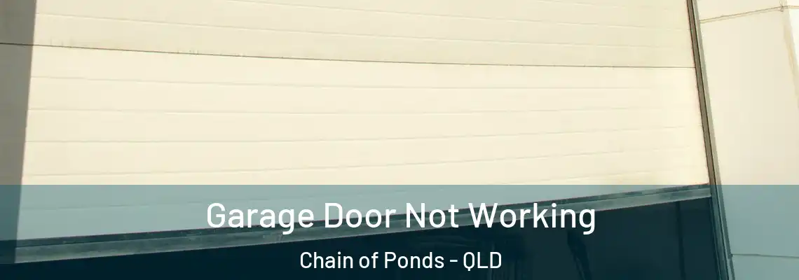 Garage Door Not Working Chain of Ponds - QLD