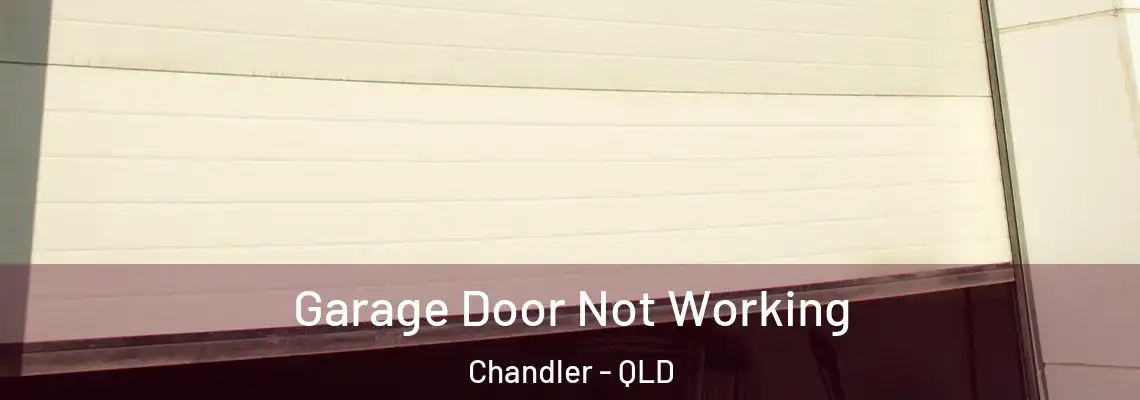 Garage Door Not Working Chandler - QLD