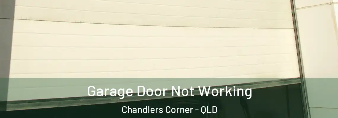 Garage Door Not Working Chandlers Corner - QLD