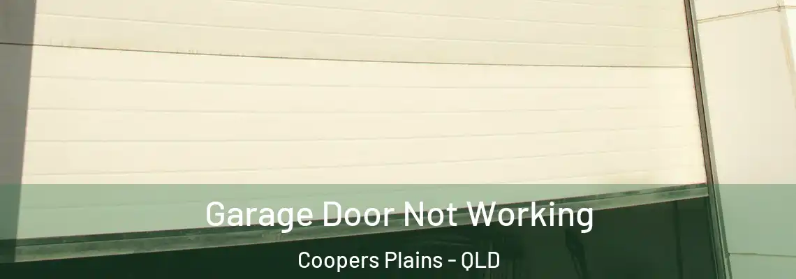 Garage Door Not Working Coopers Plains - QLD