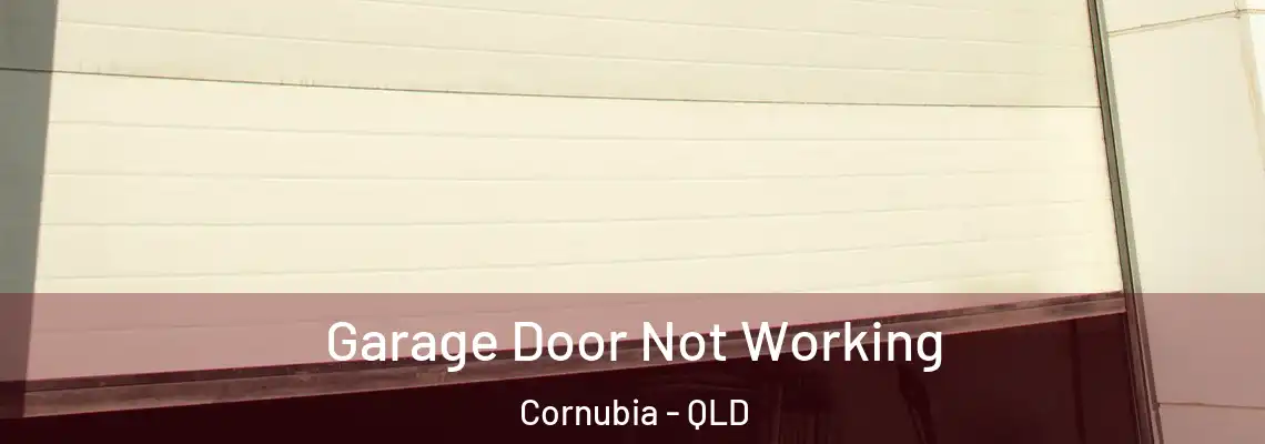 Garage Door Not Working Cornubia - QLD
