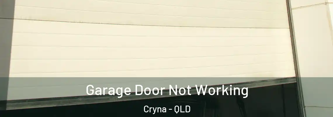 Garage Door Not Working Cryna - QLD