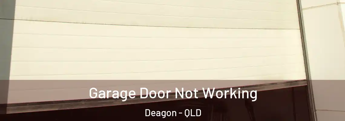 Garage Door Not Working Deagon - QLD