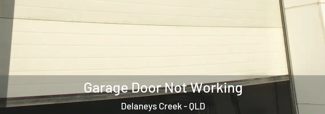 Garage Door Not Working Delaneys Creek - QLD