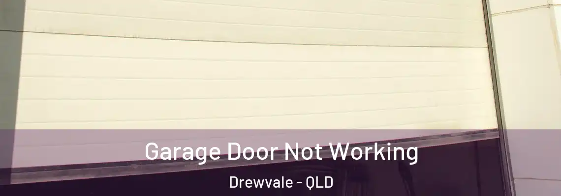 Garage Door Not Working Drewvale - QLD