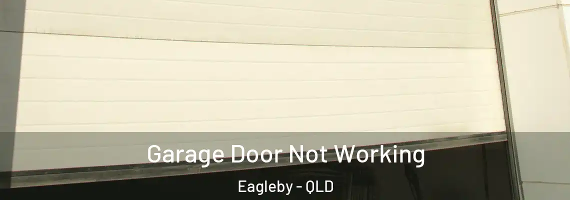 Garage Door Not Working Eagleby - QLD