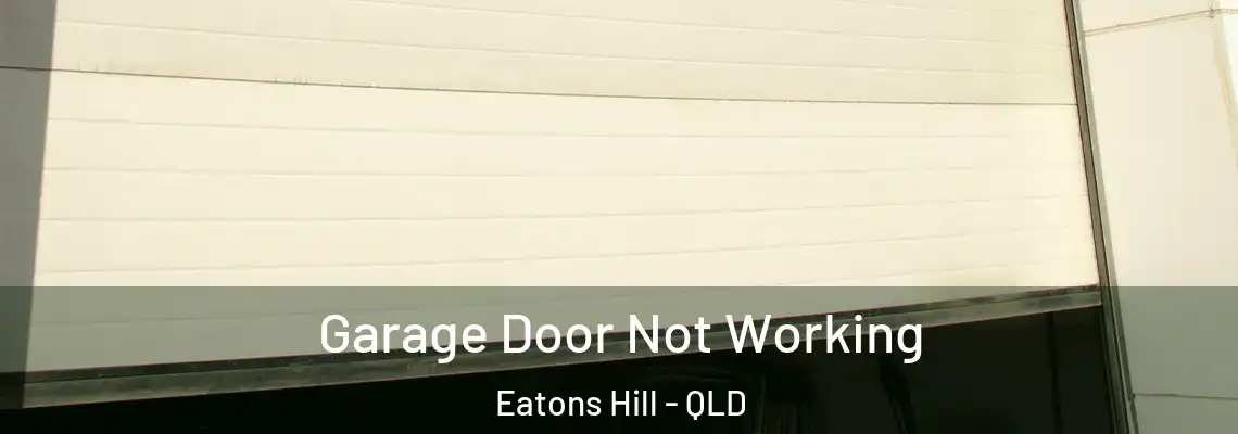 Garage Door Not Working Eatons Hill - QLD