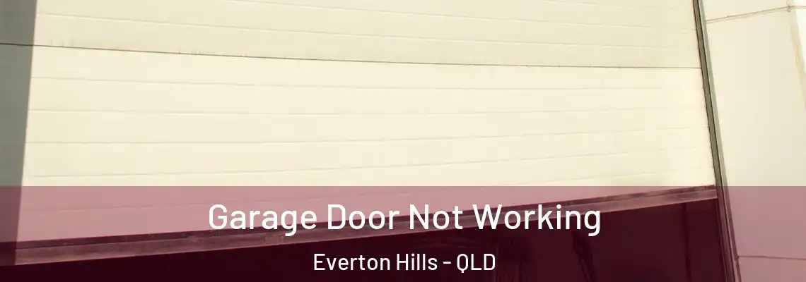 Garage Door Not Working Everton Hills - QLD