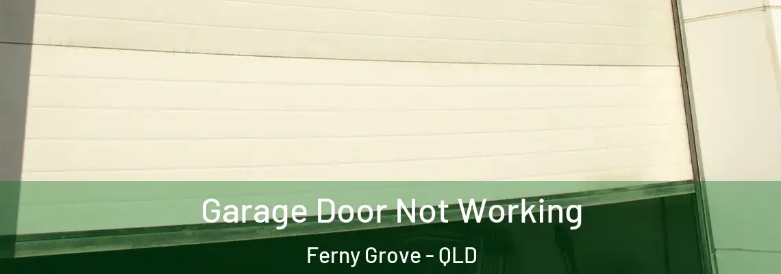 Garage Door Not Working Ferny Grove - QLD