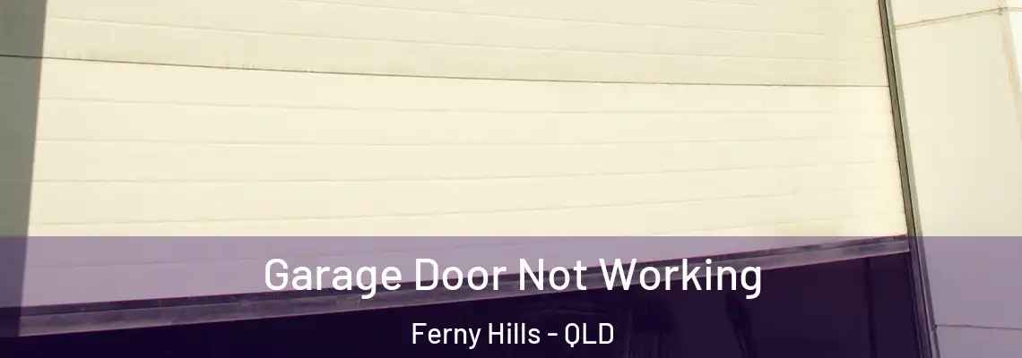 Garage Door Not Working Ferny Hills - QLD