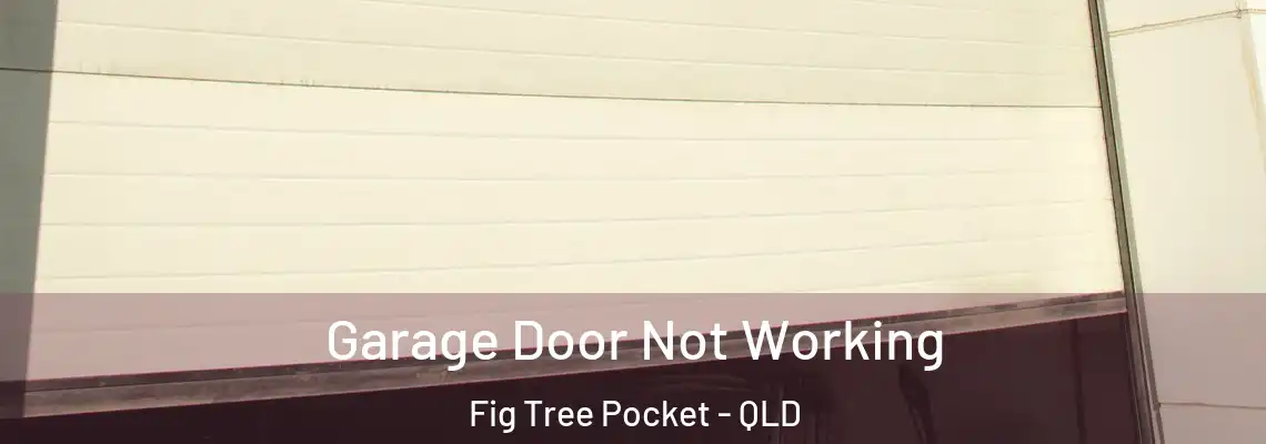 Garage Door Not Working Fig Tree Pocket - QLD