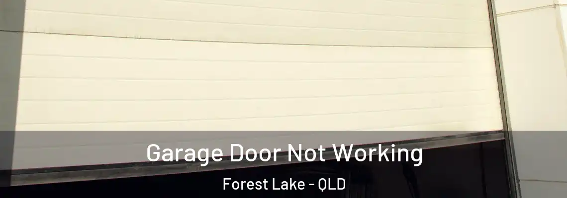 Garage Door Not Working Forest Lake - QLD