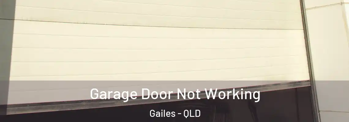 Garage Door Not Working Gailes - QLD