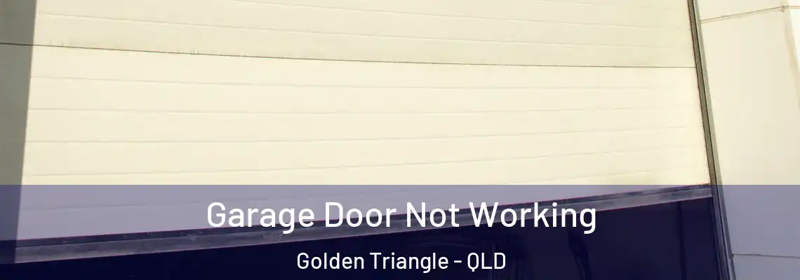 Garage Door Not Working Golden Triangle - QLD