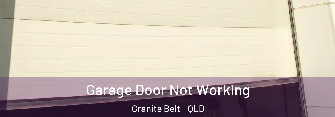  Garage Door Not Working Granite Belt - QLD