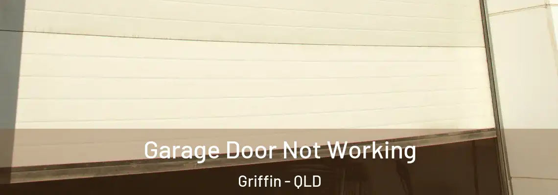 Garage Door Not Working Griffin - QLD