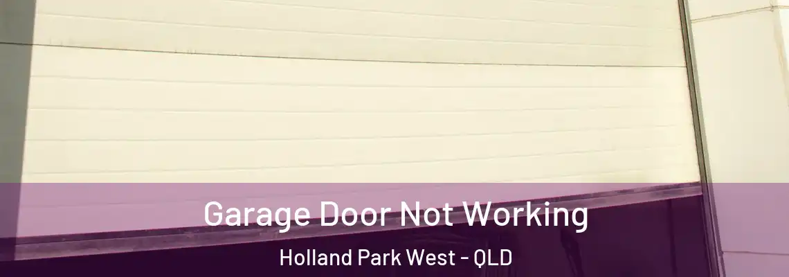 Garage Door Not Working Holland Park West - QLD