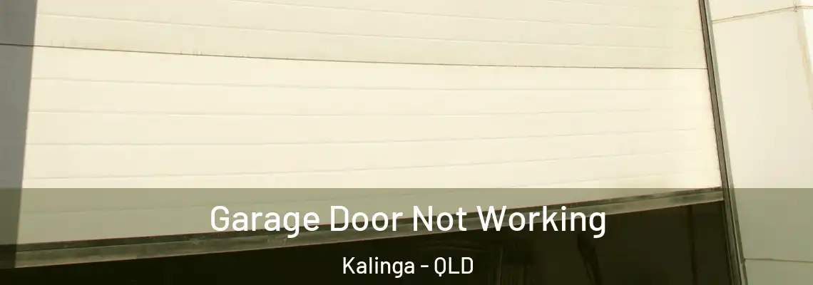 Garage Door Not Working Kalinga - QLD