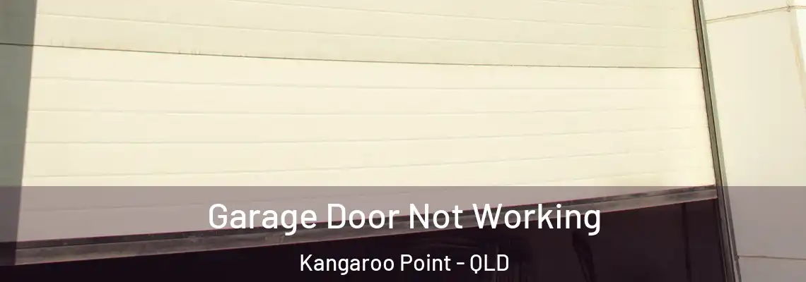 Garage Door Not Working Kangaroo Point - QLD