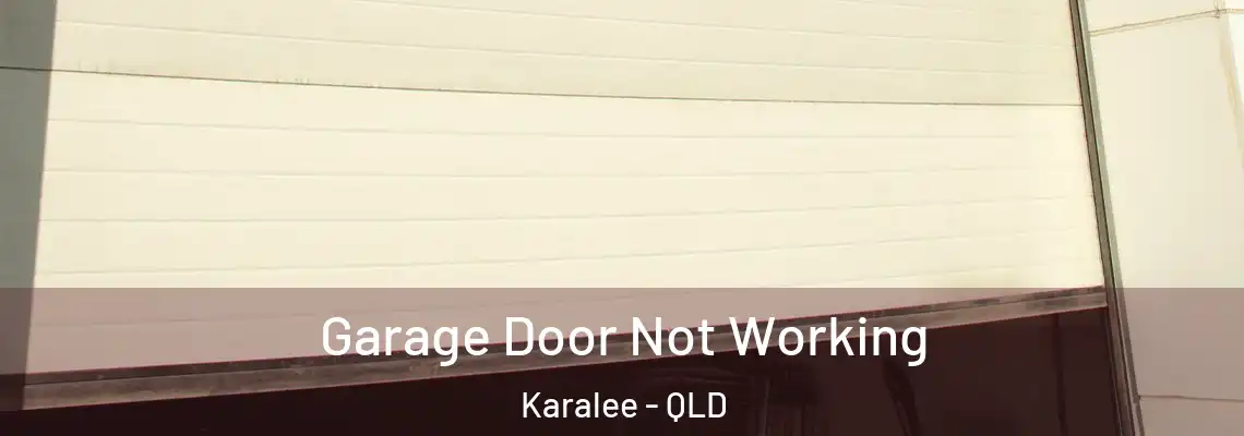 Garage Door Not Working Karalee - QLD