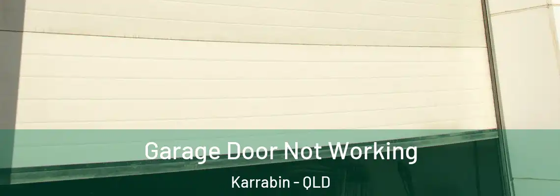 Garage Door Not Working Karrabin - QLD