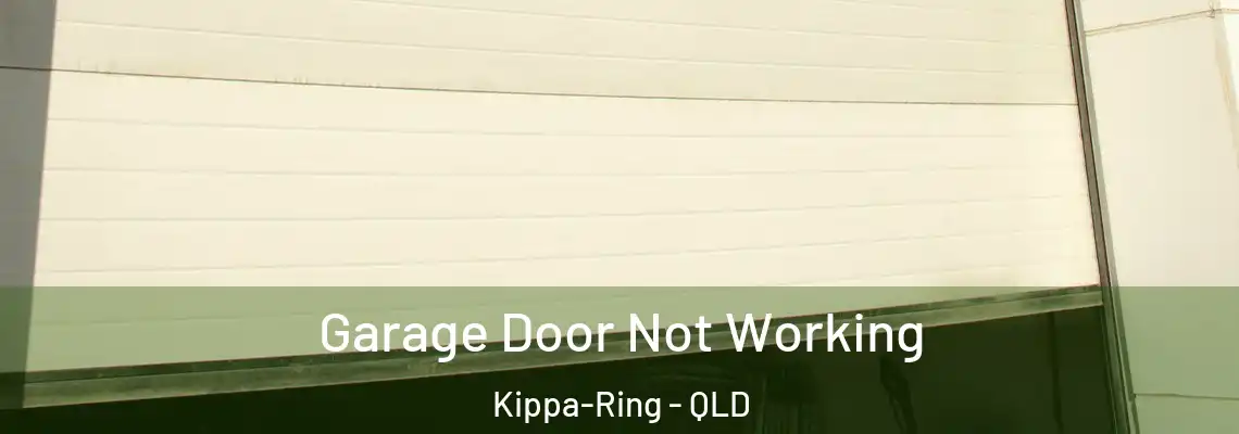 Garage Door Not Working Kippa-Ring - QLD
