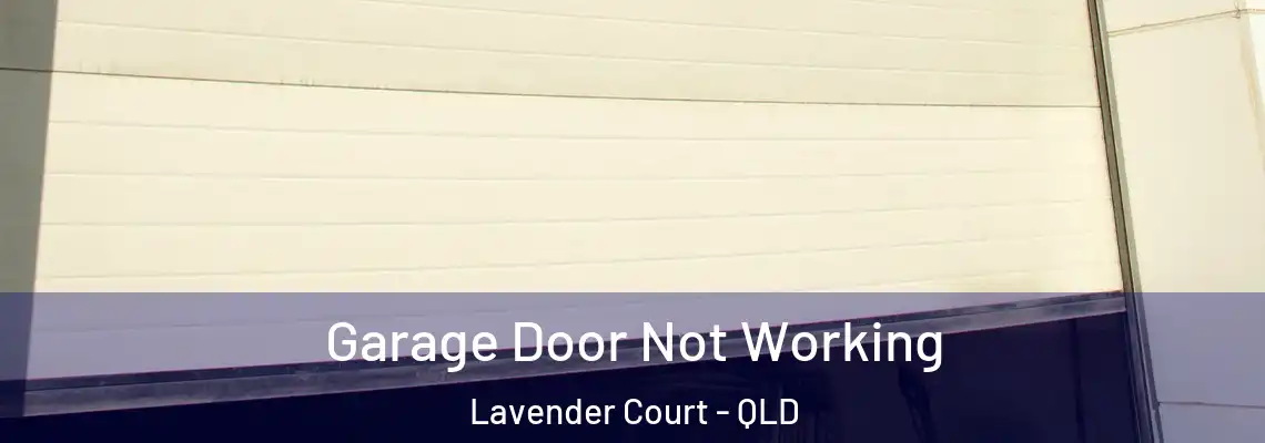 Garage Door Not Working Lavender Court - QLD