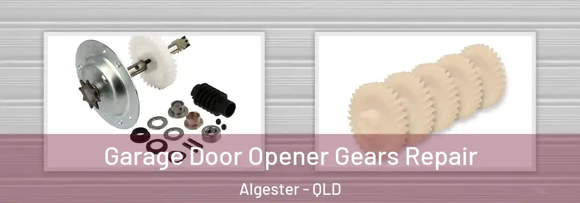 Garage Door Opener Gears Repair Algester - QLD