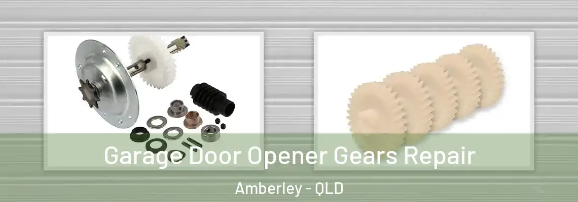 Garage Door Opener Gears Repair Amberley - QLD