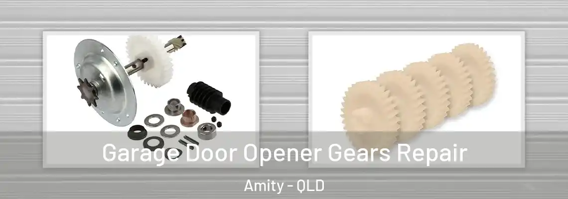 Garage Door Opener Gears Repair Amity - QLD