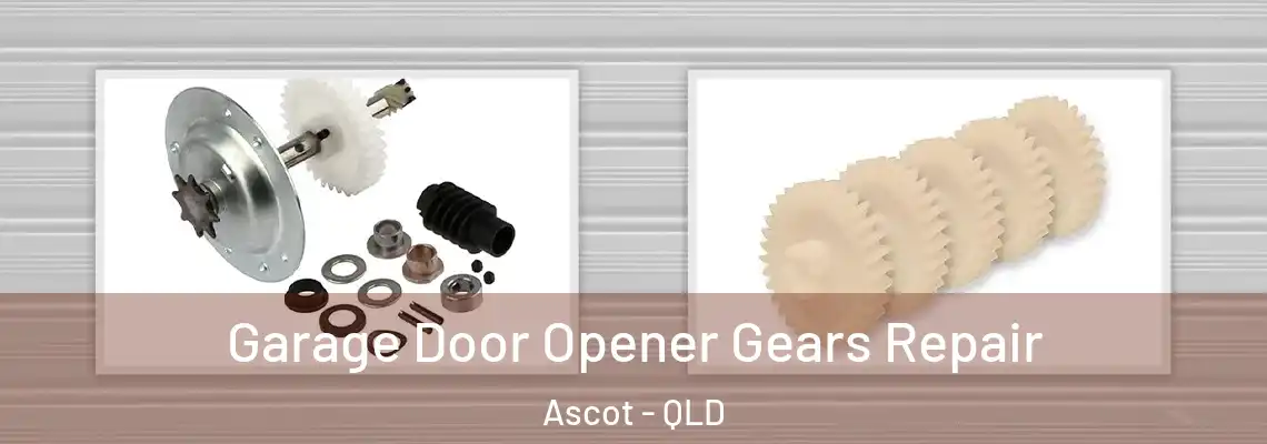 Garage Door Opener Gears Repair Ascot - QLD