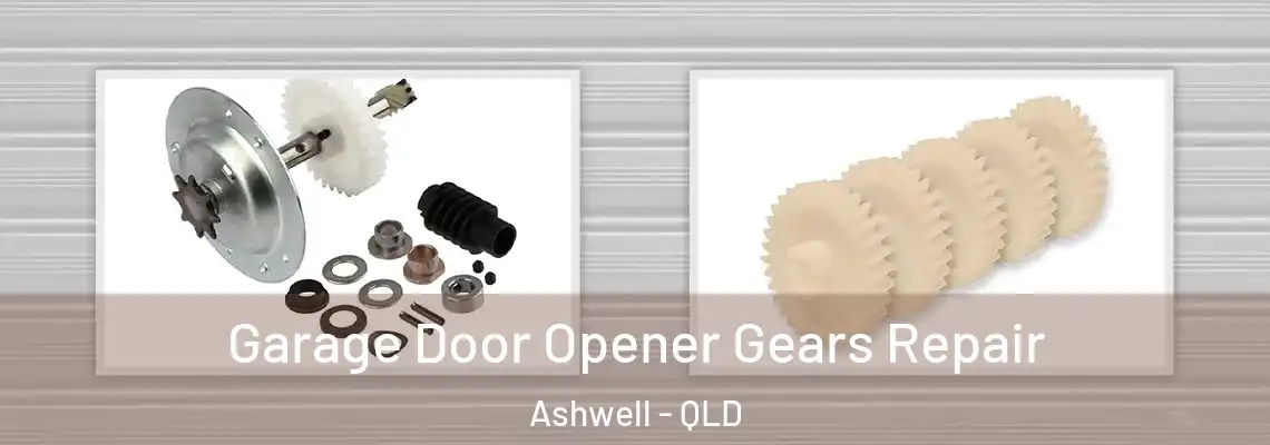 Garage Door Opener Gears Repair Ashwell - QLD