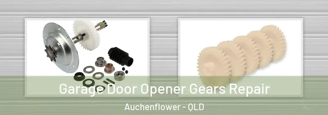 Garage Door Opener Gears Repair Auchenflower - QLD