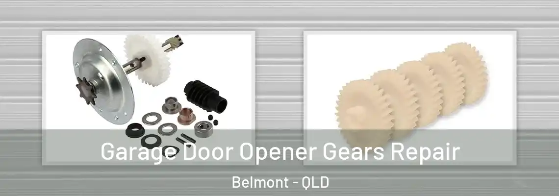 Garage Door Opener Gears Repair Belmont - QLD