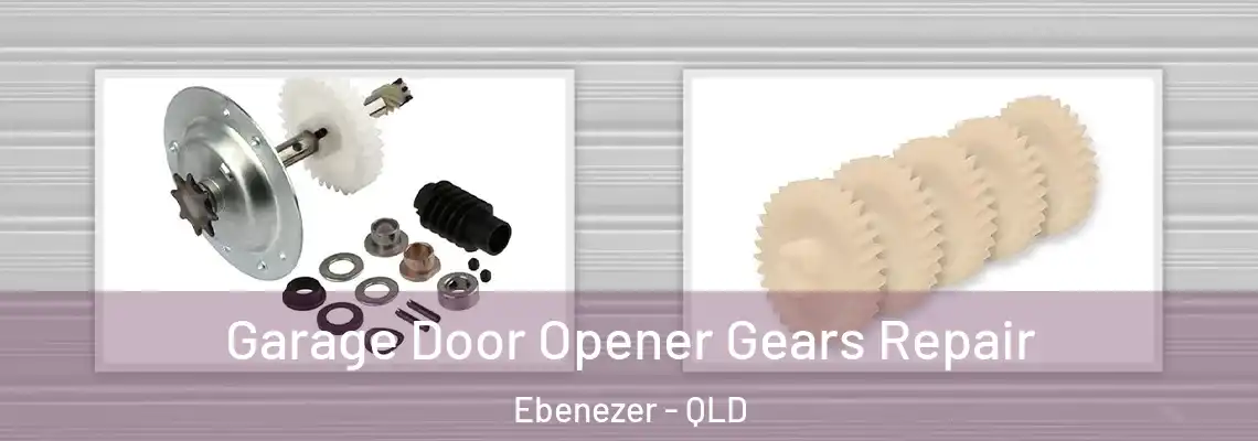  Garage Door Opener Gears Repair Ebenezer - QLD