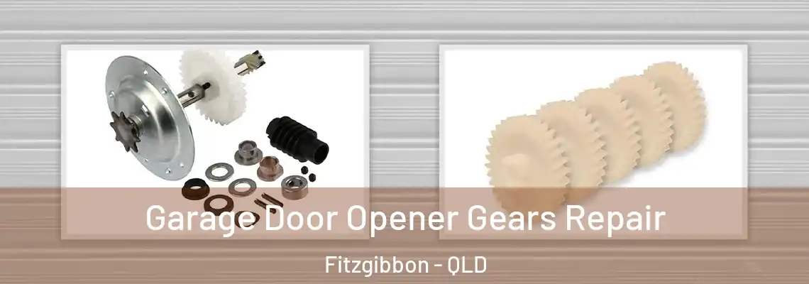 Garage Door Opener Gears Repair Fitzgibbon - QLD