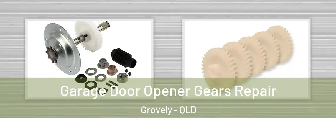 Garage Door Opener Gears Repair Grovely - QLD