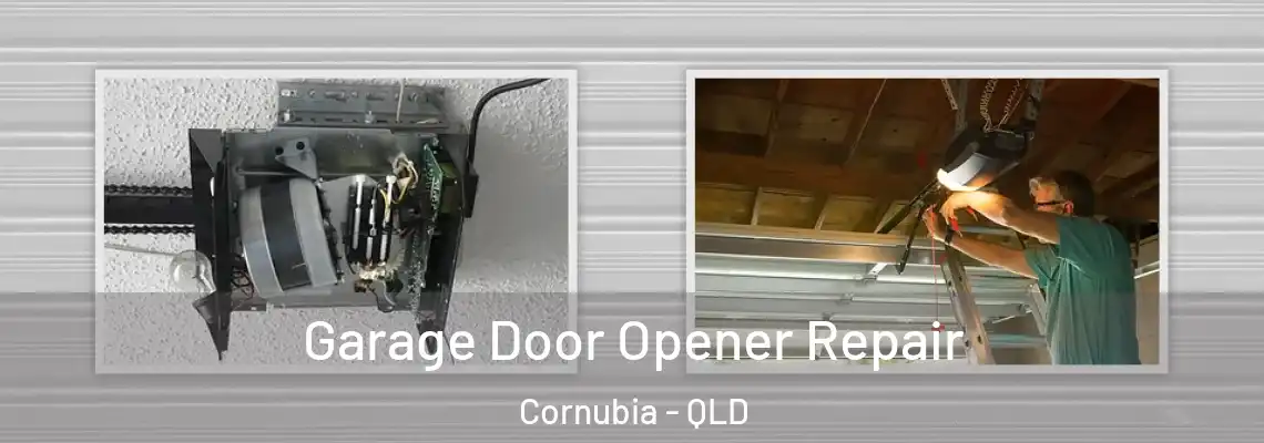 Garage Door Opener Repair Cornubia - QLD
